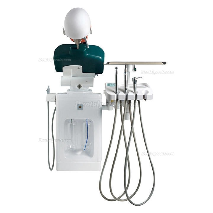 Jingle JG-A1 Phantomkopf Zahnmedizin-Patientensimulator Dentale Simulationseinheiten